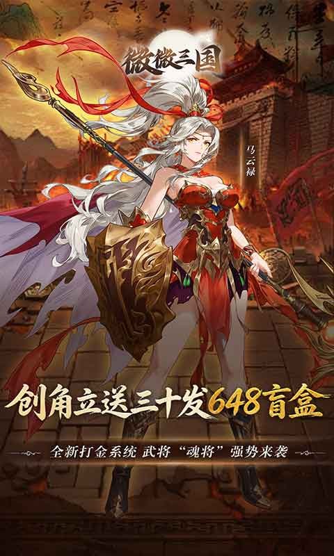 微微三国（0.05折打金版）截图