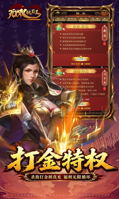 无双魏蜀吴（0.05折十倍返利）截图